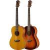 CSF3M Acoustic Guitar 