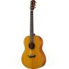 CSF3M Acoustic Guitar 