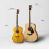 CSF3M Acoustic Guitar In Vintage Natural Finish