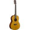 A Grade Refurbished CSF-TA TransAcoustic Parlour Guitar