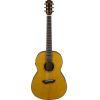 A Grade Refurbished CSF-TA TransAcoustic Parlour Guitar