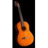 CX40 Mark II Electro-Classical Guitar