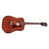 D-120 Dreadnought Acoustic Guitar in Natural finish
