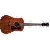 D-20E Dreadnought Acoustic Guitar in Natural finish