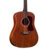 D-20E Dreadnought Acoustic Guitar in Natural finish