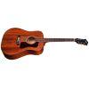 D-20 Dreadnought Acoustic Guitar in Natural finish