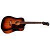 D-20 Dreadnought Acoustic Guitar in Vintage Sunburst finish