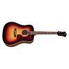 D-50E Standard Dreadnought Acoustic Guitar in Antique Burst finish