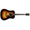 D-55E Dreadnought Acoustic Guitar in Antique Burst finish