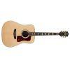 D-55E Dreadnought Acoustic Guitar in Natural finish 
