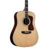 D-55E Dreadnought Acoustic Guitar in Natural finish 