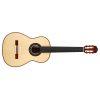 Esteso SP/PF acoustic guitar