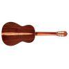 Esteso SP/PF acoustic guitar