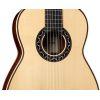 Esteso SP/PF acoustic guitar