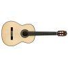 F10 Classical Guitar