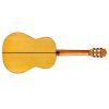 F10 Classical Guitar