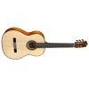 F10 Classical Guitar