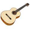 F10 Classical Guitar