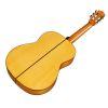 F10 Classical Guitar