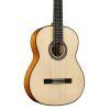 F10 Classical Guitar