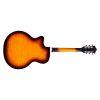 F-250CE Jumbo Acoustic Guitar in Antique Burst finish