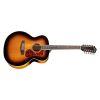 F-2512E Deluxe 12-String Jumbo Acoustic Guitar in Antique Burst finish