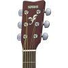 A Grade Refurbished F310ii Acoustic Guitar