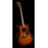 see GF310TBSII  ----------------------------------------------------    F310TSB Acoustic Guitar