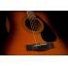 see GF310TBSII  ----------------------------------------------------    F310TSB Acoustic Guitar