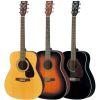 F370 Acoustic Guitar
