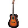 F370 Acoustic Guitar