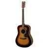 F370DW Acoustic Guitar
