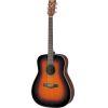F370 Sunburst Acoustic Guitar Package
