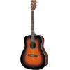 F370 Acoustic Guitar
