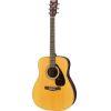 F370 Acoustic Guitar