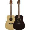 F400 Dreadnought Acoustic Guitars