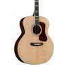 F-55E Jumbo Acoustic Guitar in Natural finish