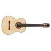 F7 Classical Guitar