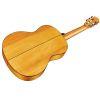 F7 Classical Guitar