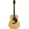 FG7 MX Acoustic Guitar Natural 