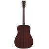 FG7 M Acoustic Guitar Natural 