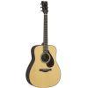 FG7 RX Acoustic Guitar Natural
