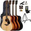 FG 800 Acoustic Guitar Pack In Various Colours