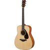 FG800M MKII Acoustic Guitar Pack