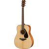 FG 800 Acoustic Guitar Pack In Natural Finish