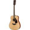 FG820-12 12-String Acoustic Guitar