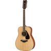 FG820-12 12-String Acoustic Guitar
