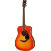 FG820 Acoustic Guitar