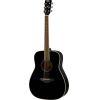 FG820 Acoustic Guitar