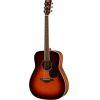 Almost Perfect FG820 MKII Acoustic Guitar